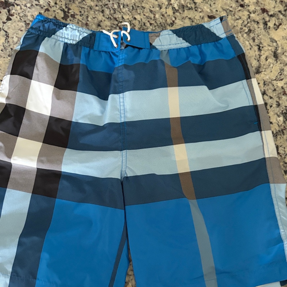 Burberry Blue Swim Shorts